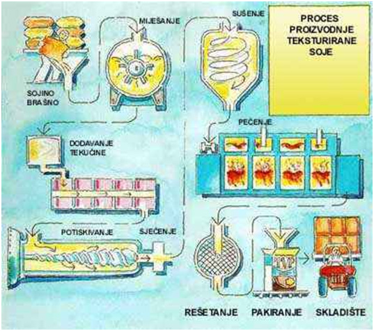 Proces proizvodnje TSB